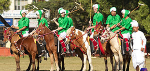 HUNTRE! POLO TOURS